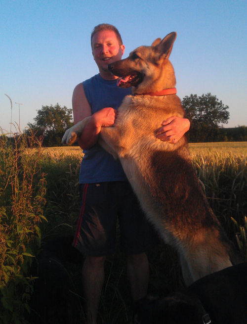 Contact 'A Dog Guy' for One to One Dog Training and Dog Behaviour